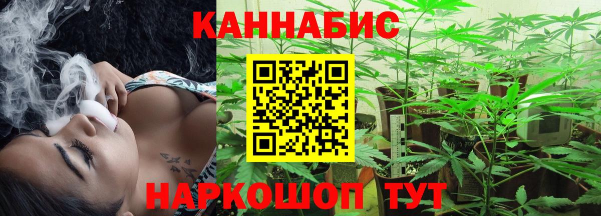 Шишки марихуана Amnesia Тимашёвск